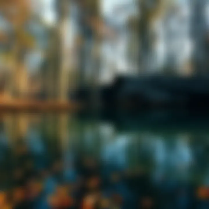 A still pond surrounded by trees, reminiscent of the eerie setting in Stranger Things, with dark water and fallen leaves.
