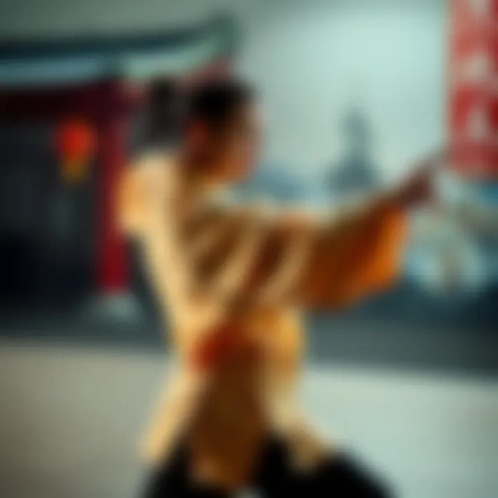 Tai Chi Fighter Demonstrating Follow/Don't Follow Move A tai chi practitioner showcasing the follow/don't follow technique in a circular motion.