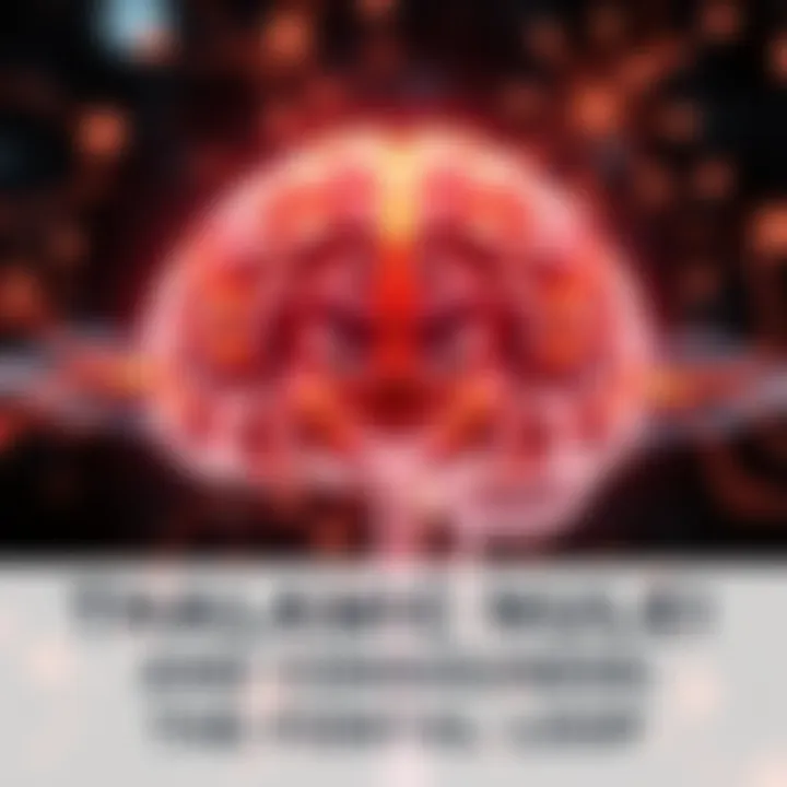 Illustration showing high-order thalamic nuclei connecting to the frontal lobe, symbolizing the thalamofrontal loop in the brain.