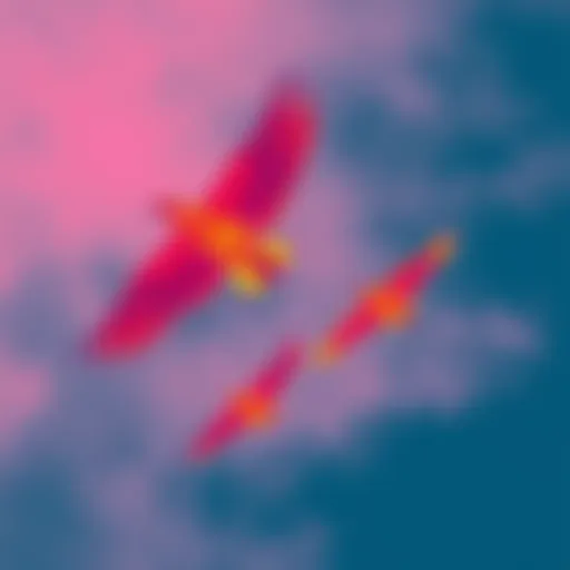 Thermal image showing birds flying, appearing as warm shapes against a cooler sky, highlighting their wings blending with the background