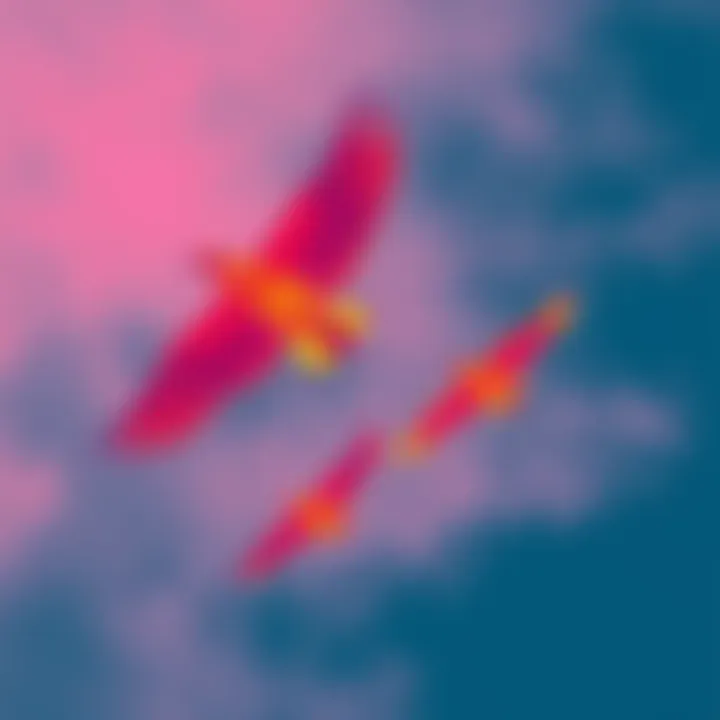Thermal image showing birds flying, appearing as warm shapes against a cooler sky, highlighting their wings blending with the background