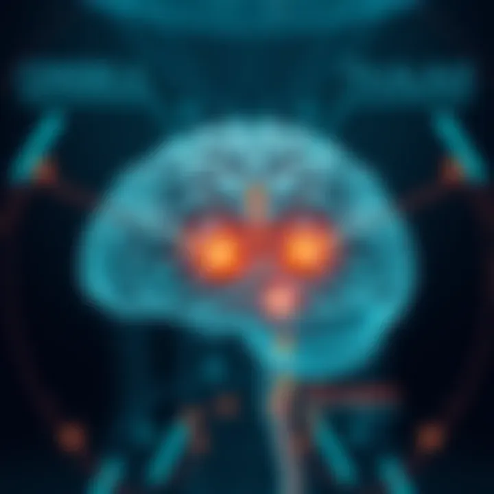 Illustration showing the cerebellum, thalamus, and oblongata with labels highlighting their positions and functions within the brain.