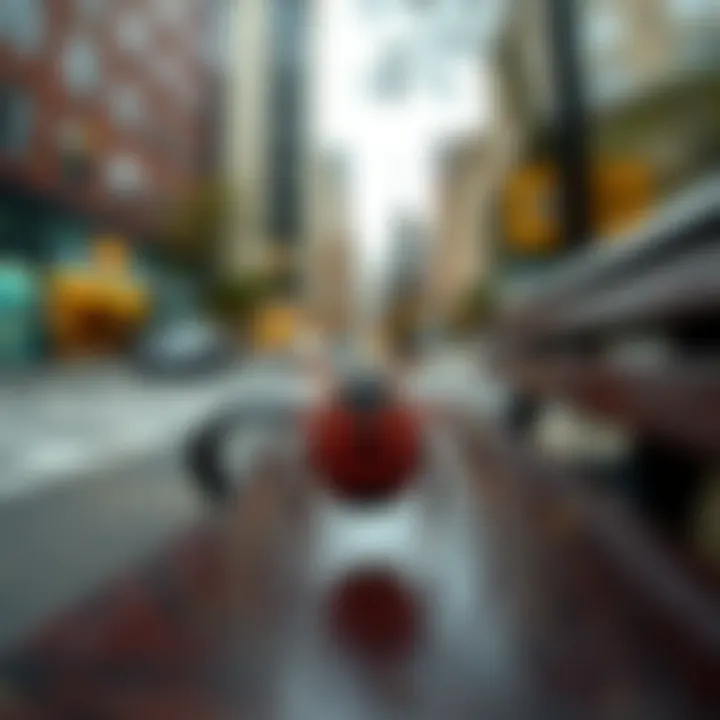 A close-up of a tick on a park bench in a city, highlighting the urban environment where ticks are being found.