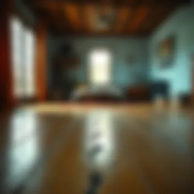 Small shoe prints on a freshly painted living room floor in an old farmhouse