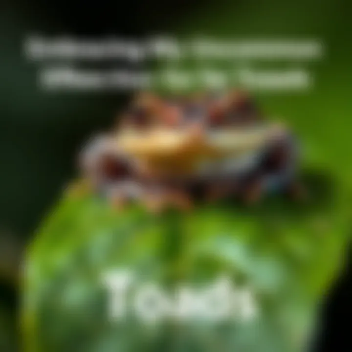 A close-up of a toad resting on a green leaf, showcasing its textured skin and bright eyes in a natural setting.