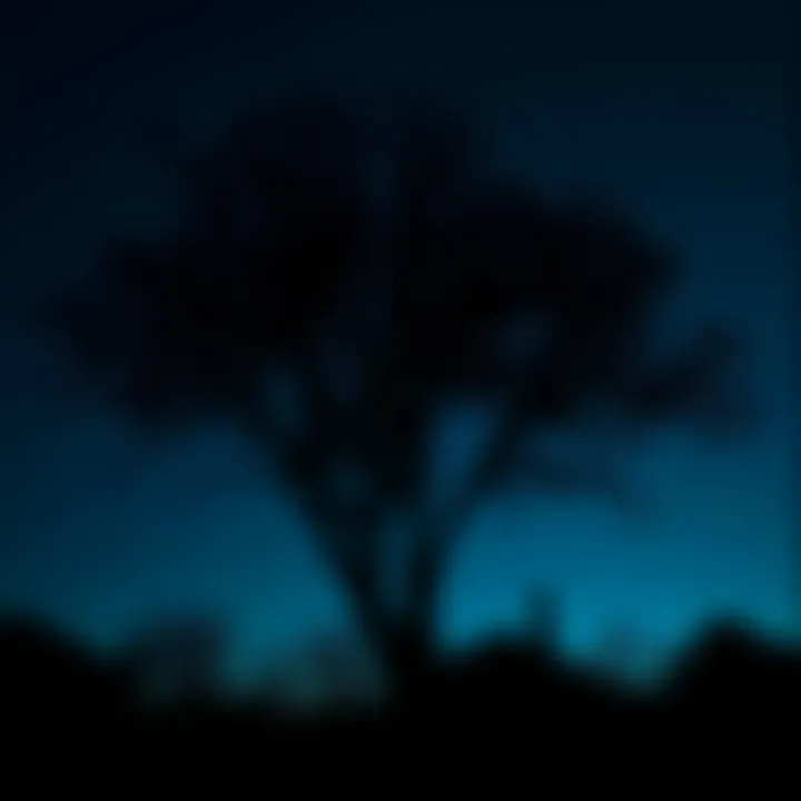 A dark tree in central Ohio under a night sky, with faint shadows suggesting mysterious sounds nearby.