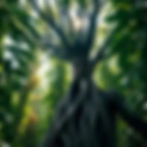 A figure with tree-like features surrounded by lush greenery and sunlight, symbolizing a connection to nature during a Salvia Divinorum experience.