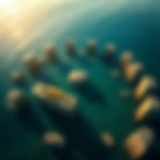 Aerial view of an underwater rock arrangement resembling Stonehenge in Lake Michigan, with a noticeable carved mastodon on one of the stones.