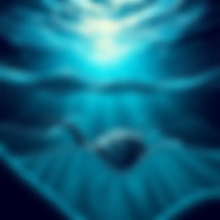 Sound waves radiating from a deep ocean environment, representing loud underwater noise detection