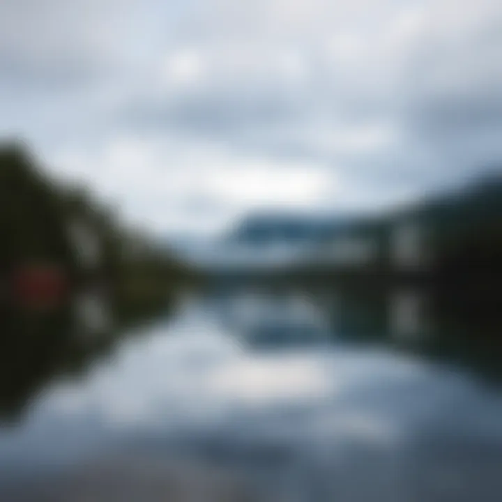 A serene lake surrounded by trees, reflecting the unsettling quiet experienced by a family during their picnic.