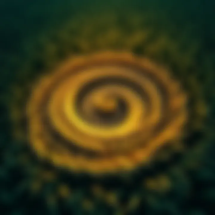 A crop circle in Wiltshire showing swirling grass that resembles a vortex, captured by a Brazilian couple.