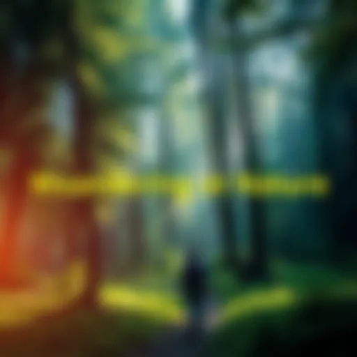 A person walking through a lush forest, feeling connected to nature and reflecting on their journey as a Wanderer.