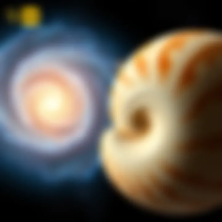 Whirlpool Galaxy and Nautilus Shell: Nature's Patterns : MysteryLores
