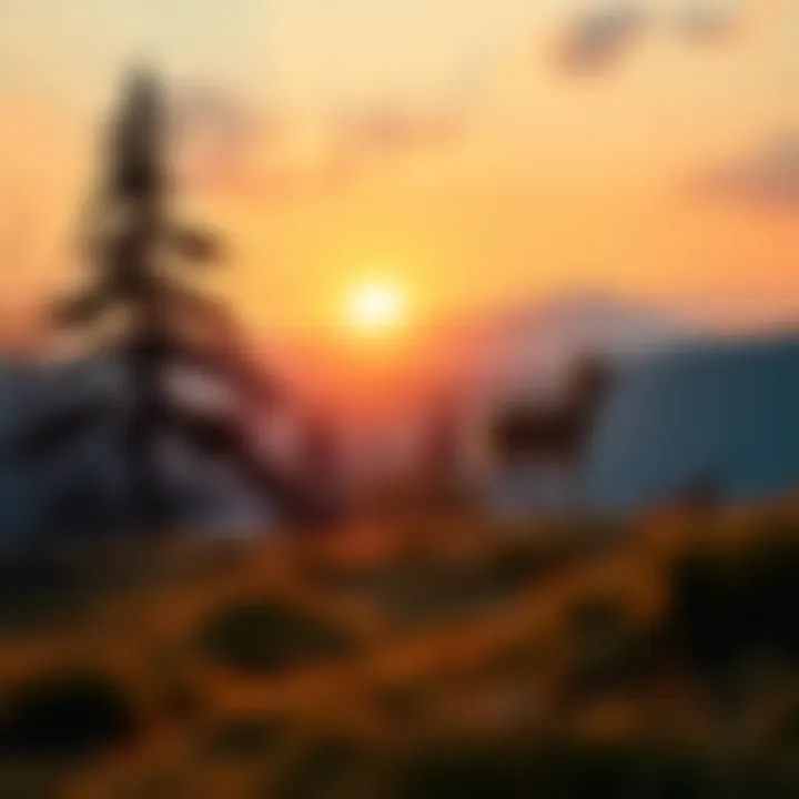 A serene landscape showing the sun and moon representing the God and Goddess of Wicca, surrounded by trees and wildlife, symbolizing their connection to nature.