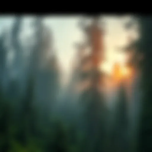 A dense forest in the Great Bear Rainforest, showcasing tall trees and underbrush, suggesting a habitat for large unknown animals.