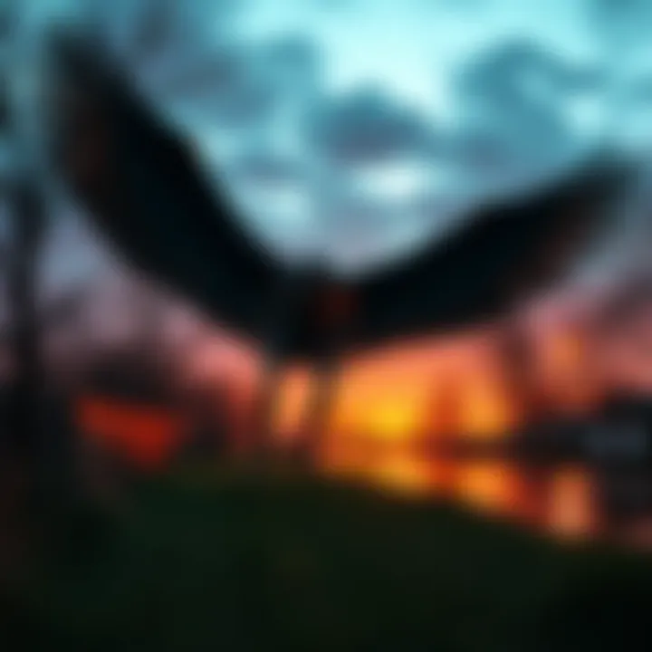 A large humanoid figure with wings spotted near the Des Plaines River in McCook, Illinois, as reported by witnesses.