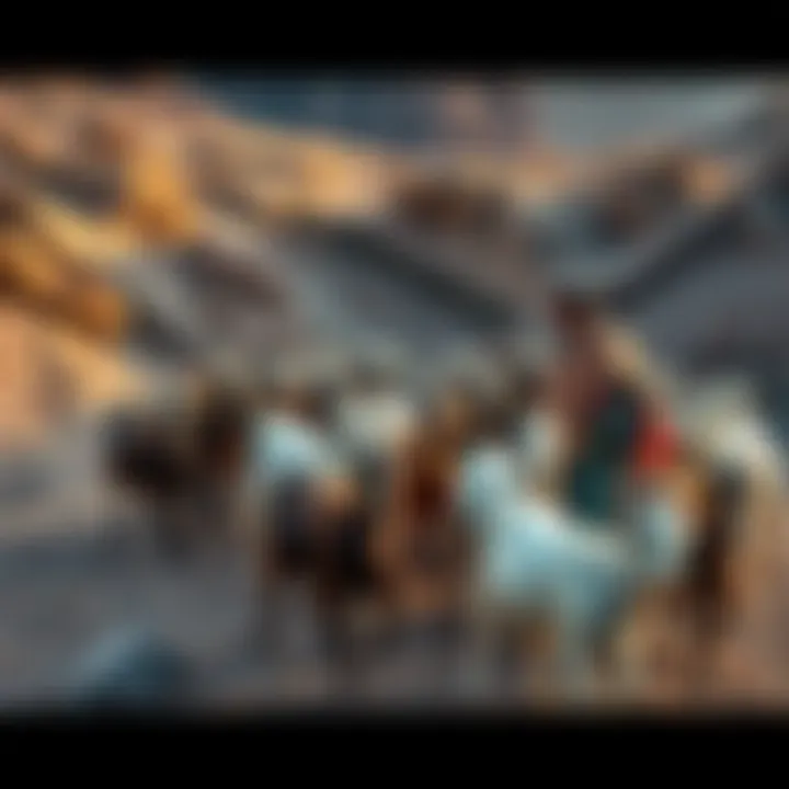 A goat herder in Yemen guiding a flock of goats across a rocky terrain, showcasing their daily routine and environment.