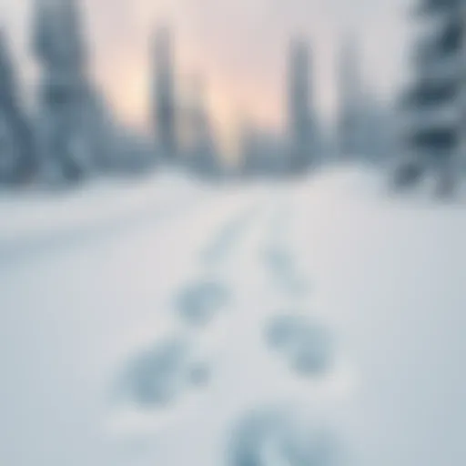 A set of large, mysterious footprints in the snow, leading through a snowy forest setting