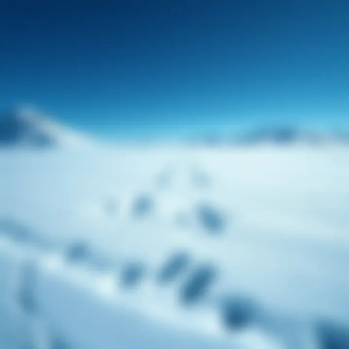 Footprints resembling Yeti tracks in a snowy landscape, near Cho Oyu