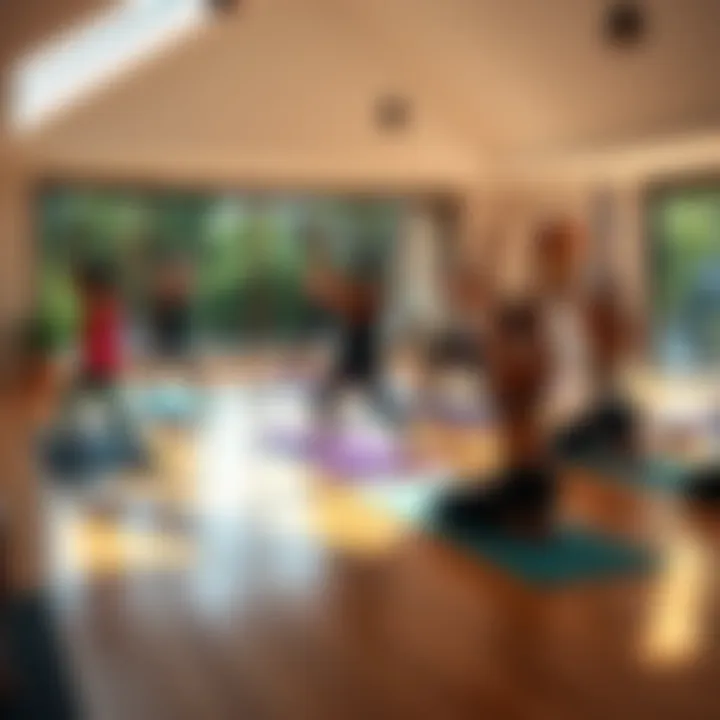 A group of yoga students practicing Vinyasa and Hatha poses in a serene California studio with supportive mentors present