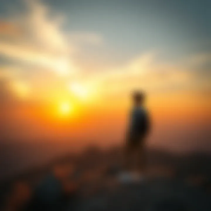 A young adult stands on a hilltop, gazing at the sunset, symbolizing hope and future possibilities.