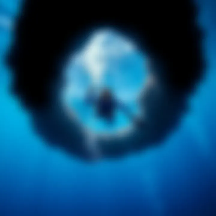 A diver descending into clear, deep blue water with a camera in hand, symbolizing a final underwater journey.