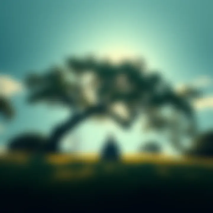 A serene environment with a person meditating under a tree, symbolizing nonduality in Zen practice